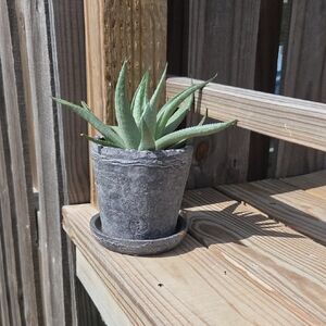 Modern Textured Terracotta Pottery 4" Planter With Attached Drain Tray